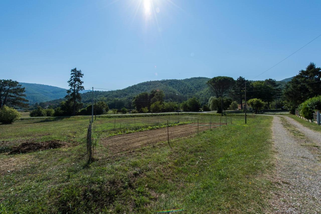 Il Rifugio Di Amelia Apartment Arezzo Bagian luar foto