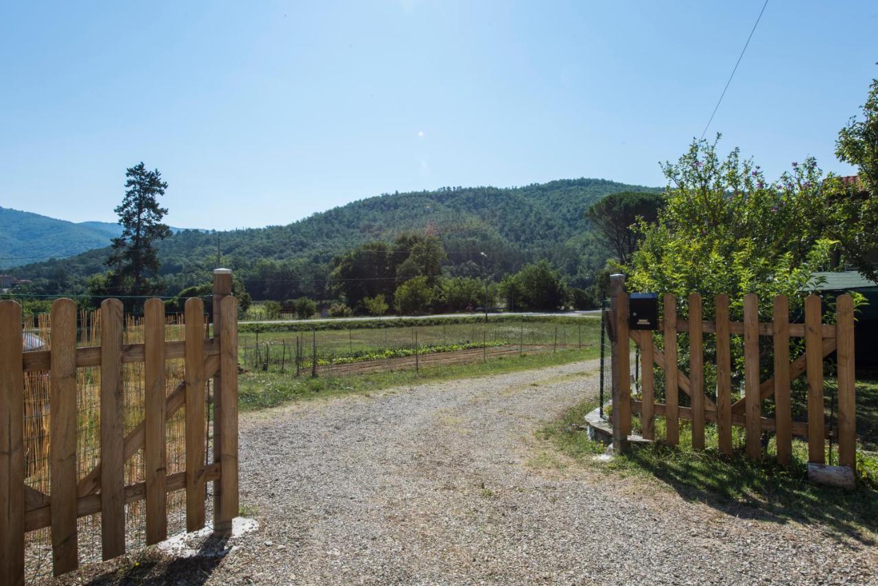 Il Rifugio Di Amelia Apartment Arezzo Bagian luar foto